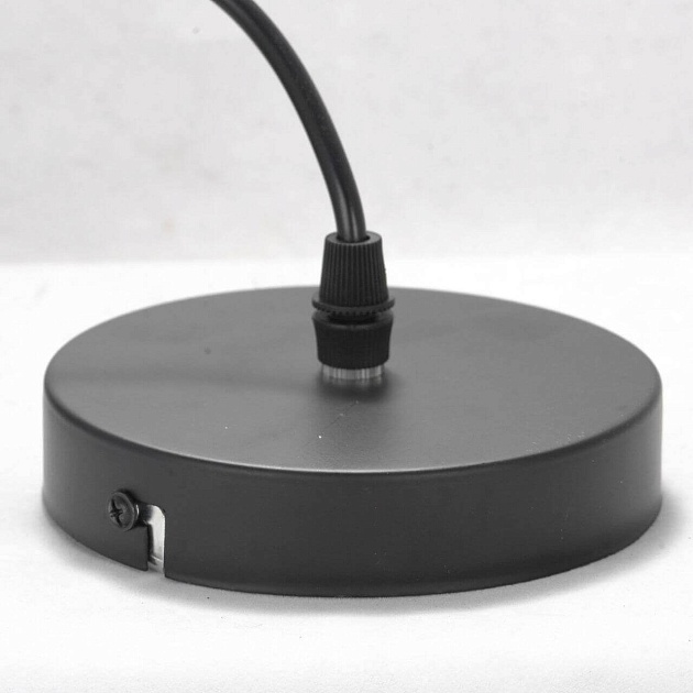 Подвесной светильник Lussole Lgo Bossier GRLSP-8273 Фото № 6