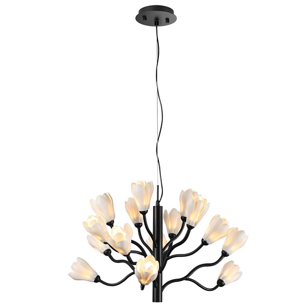 Подвесная люстра Odeon Light Modern Gardi 5090/15 Фото № 6