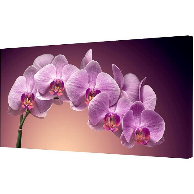 Холст Toplight 50х100х3см TL-H0003 изображение 1 Холст Toplight 50х100х3см TL-H0003 Фото № 1