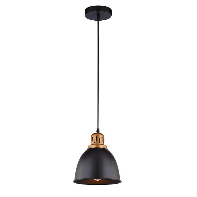 Подвесной светильник Arte Lamp Eurica A4245SP-1BK Фото № 1