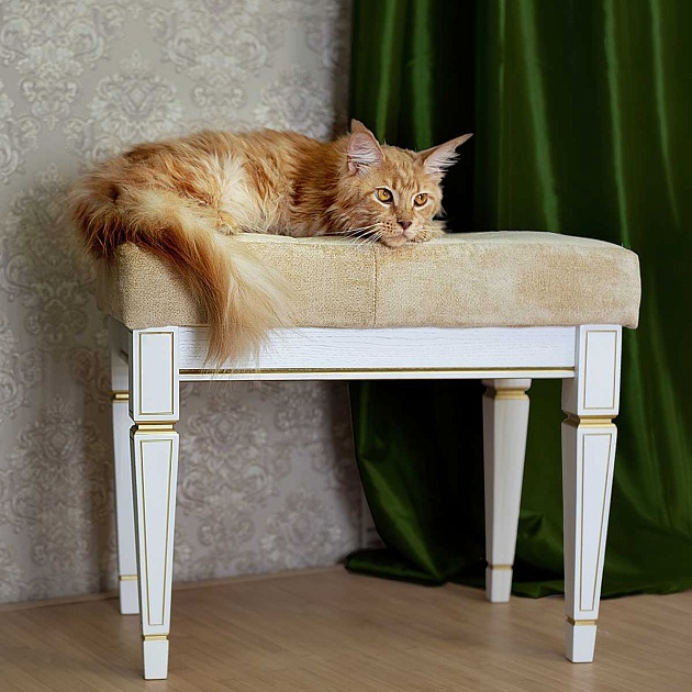 Банкетка Мебелик Васко В 97Н 001159 изображение 10 Банкетка Мебелик Васко В 97Н 001159 Фото № 10