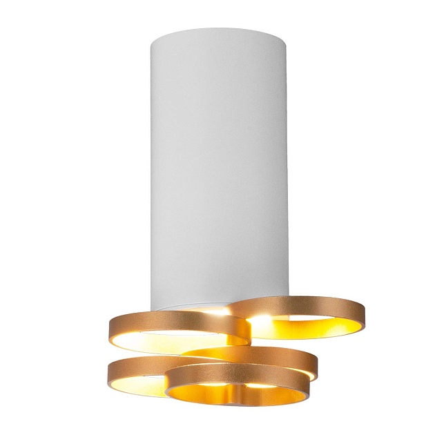 Потолочный светильник Elektrostandard DLN102 GU10 белый/золото a047748 изображение 1 Потолочный светильник Elektrostandard DLN102 GU10 белый/золото a047748 Фото № 1