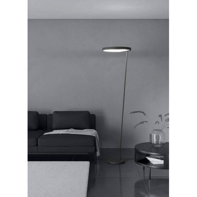 Торшер Eglo CAREDARA 390167 изображение 3 Торшер Eglo CAREDARA 390167 Фото № 3