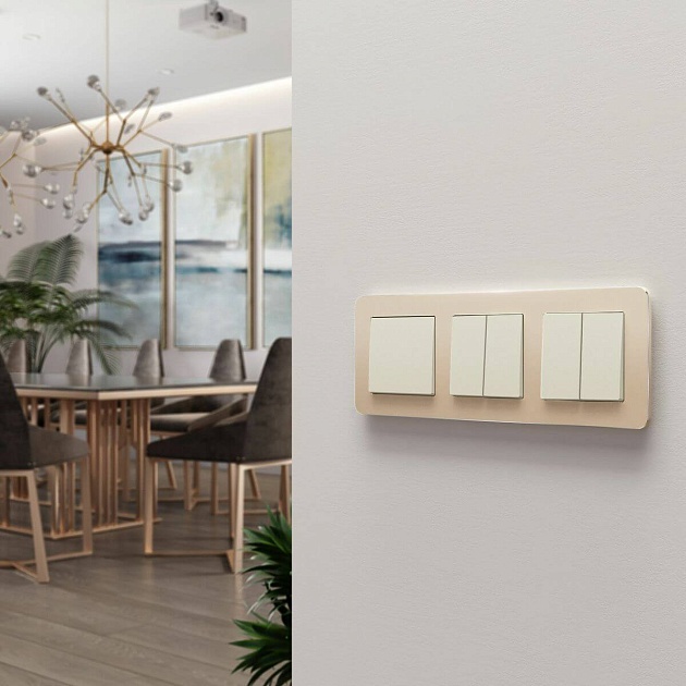 Выключатель двухклавишный Werkel айвори матовый W1120062 4690389184642 изображение 4 Выключатель двухклавишный Werkel айвори матовый W1120062 4690389184642 Фото № 4