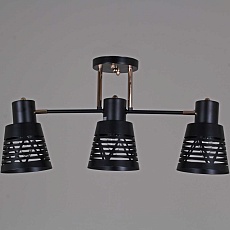 Люстра Reluce 06074-3.3-03 BK+FG 1