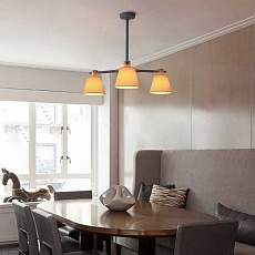 Подвесная люстра Imperium Loft Natura 177990-26 4