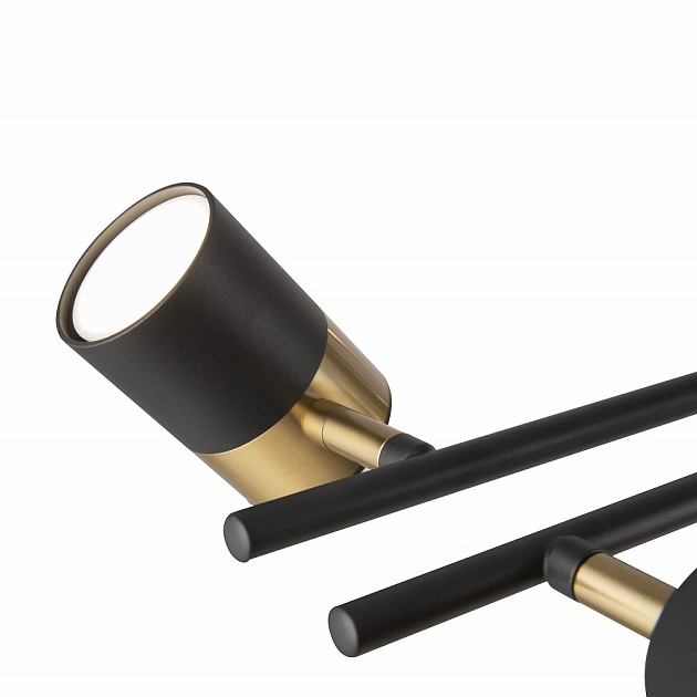 Подвесной светильник Freya Enzo FR5201PL-10B Фото № 4