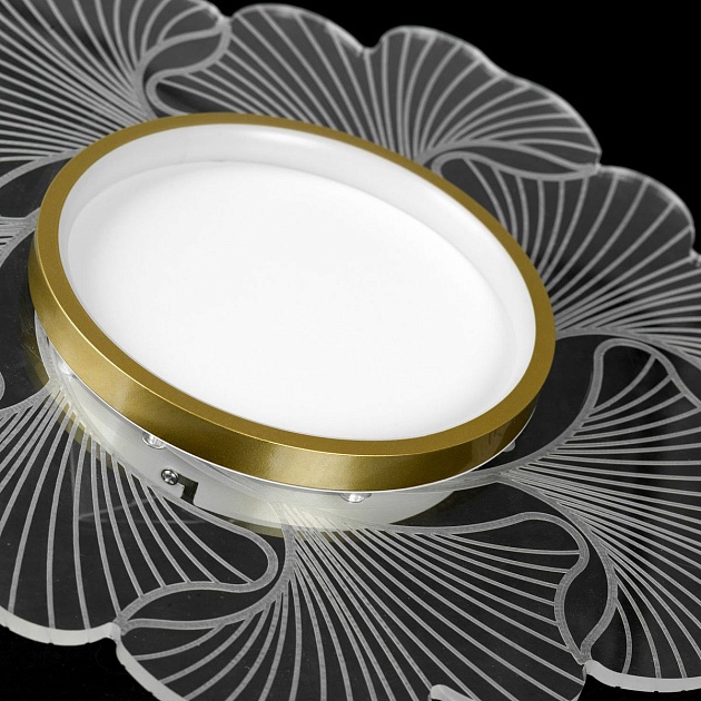 Потолочный светодиодный светильник Lussole Benton LSP-7340 Фото № 3