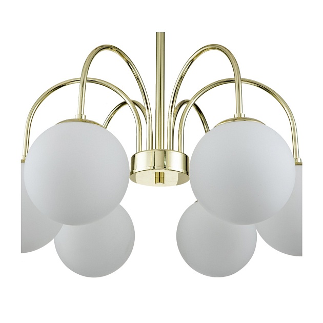 Потолочная люстра Indigo VOGA 13017/6R Gold V000325 изображение 3 Потолочная люстра Indigo VOGA 13017/6R Gold V000325 Фото № 3