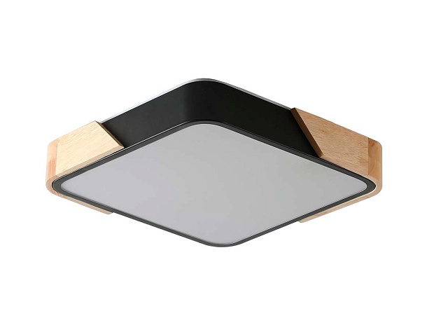 Потолочный светильник Zortes ALBERRO ZRS.01281.24 изображение 5 Потолочный светильник Zortes ALBERRO ZRS.01281.24 Фото № 5