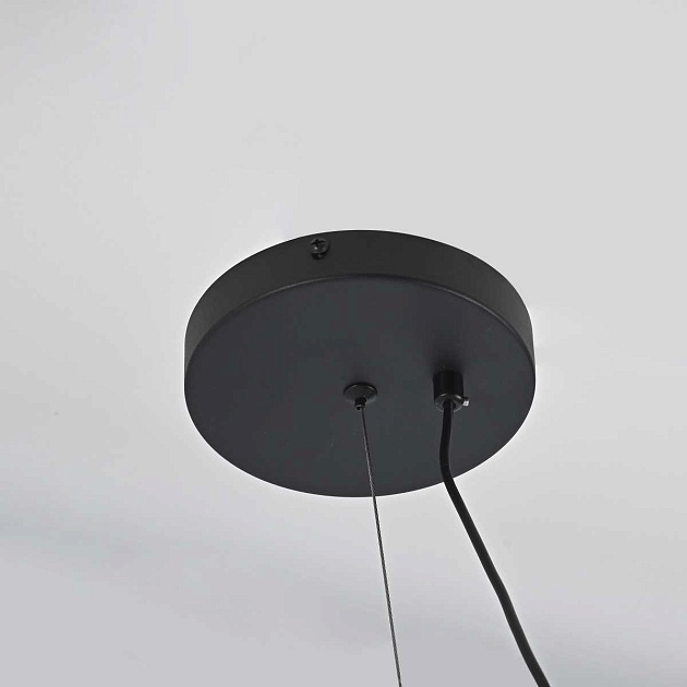 Подвесной светильник Imperium Loft Cary-Long 151261-26 Фото № 10