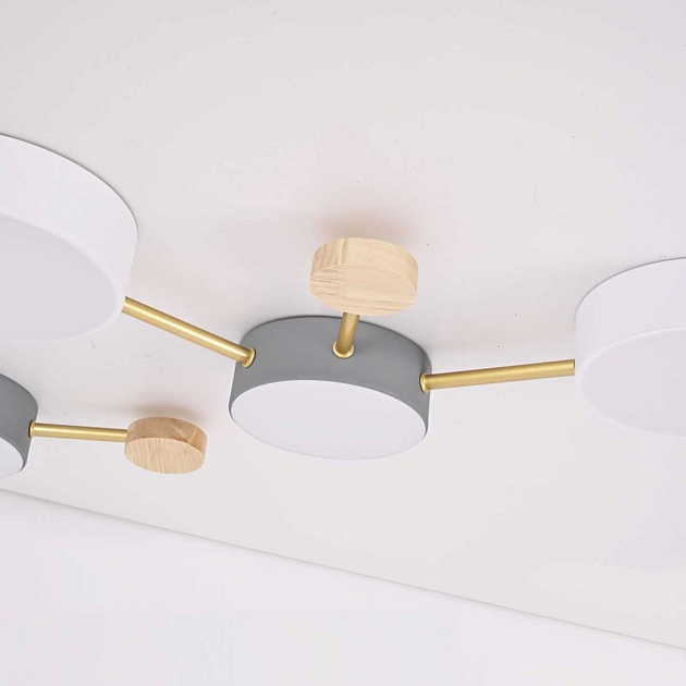 Потолочный светильник Imperium Loft Solen 151504-26 изображение 10 Потолочный светильник Imperium Loft Solen 151504-26 Фото № 10