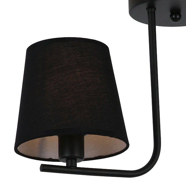 Потолочная люстра Illumico IL8134-2COU-79 BK изображение 3 Потолочная люстра Illumico IL8134-2COU-79 BK Фото № 3