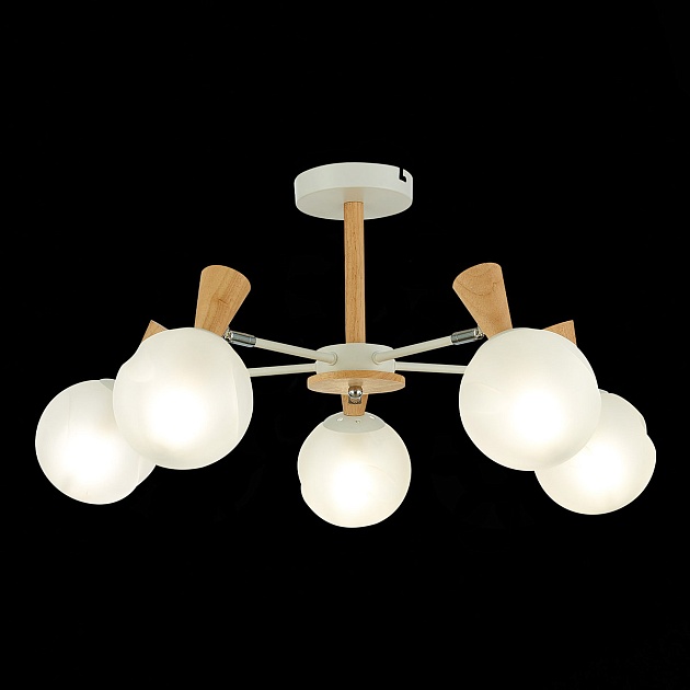 Потолочная люстра Evoluce Catania SLE220702-05 Фото № 4