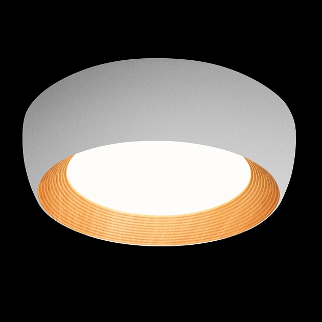 Потолочный светильник Loft IT Folk 10255/500 White Фото № 6