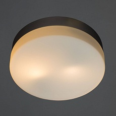 Потолочный светильник Arte Lamp Shirp A3211PL-2SI 1