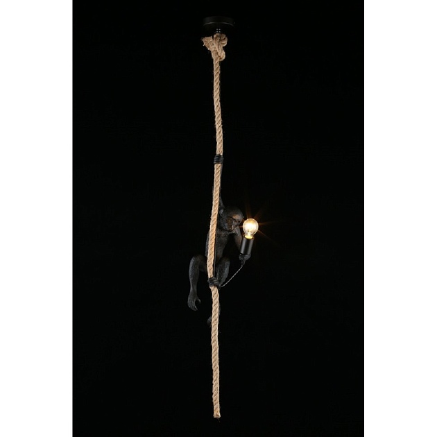 Подвесной светильник Aployt Magali APL.309.16.01 изображение 8 Подвесной светильник Aployt Magali APL.309.16.01 Фото № 8