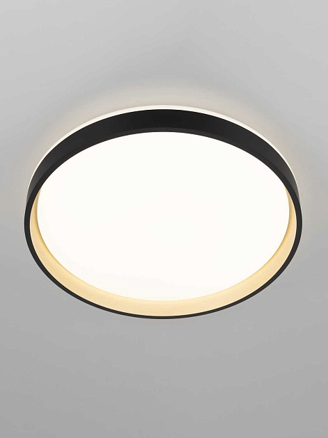 Светильник потолочный Citilux ENZO CL753451G Фото № 14