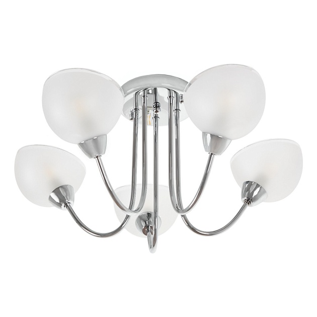 Потолочная люстра MyFar Ekaterina MR1291-5C изображение 5 Потолочная люстра MyFar Ekaterina MR1291-5C Фото № 5