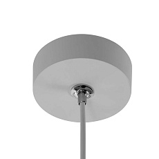 Подвесной светильник Citilux Стиг CL203220 2