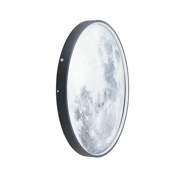 Настенный светодиодный светильник Lightstar Emisfero 737637 Фото № 1