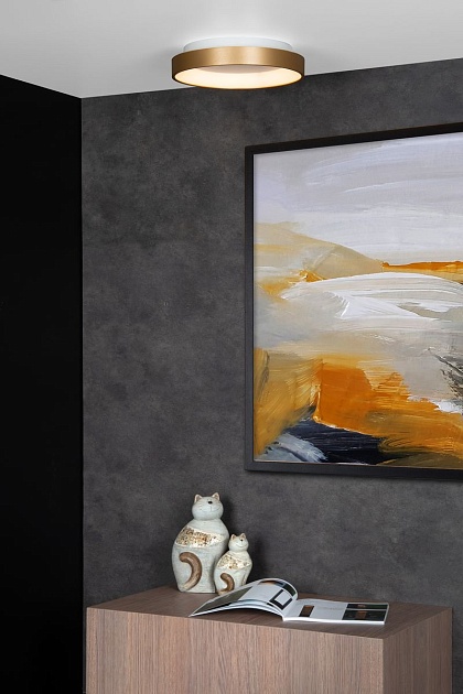 Потолочный светодиодный светильник Lucide Vidal 46103/20/02 Фото № 5