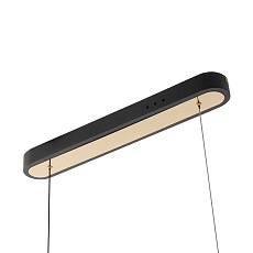 Подвесной светильник Citilux CL213121 3