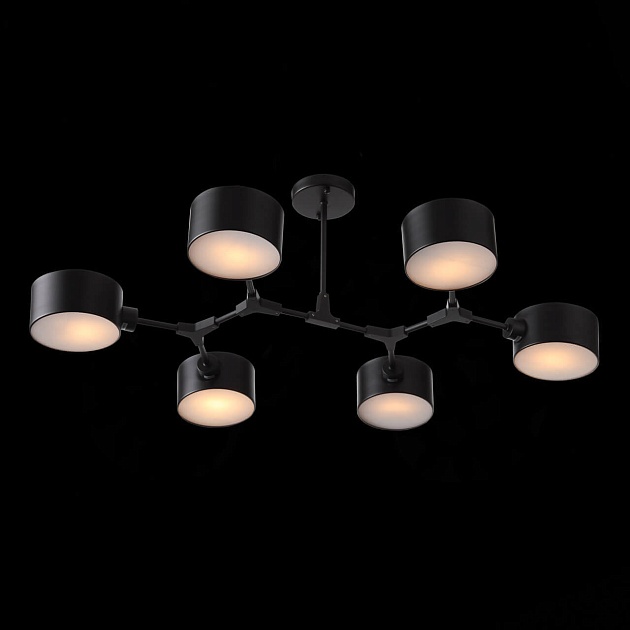 Потолочная люстра Evoluce Gimento SLE183402-06 Фото № 6