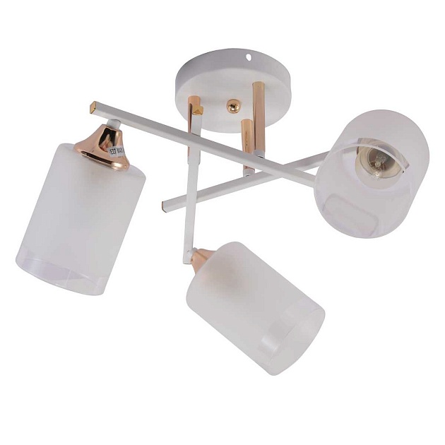 Потолочная люстра Rivoli Tammy 3162-303 Б0059258 Фото № 1