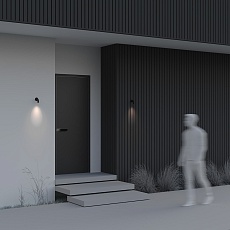 Бра Maytoni Outdoor O477WL-L2GF3K 4