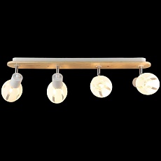 Спот Reluce 04767-0.8-04 3