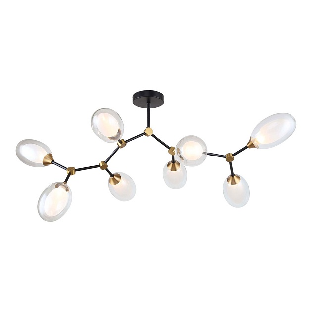 Потолочная люстра Lussole LSP-8882 Фото № 1