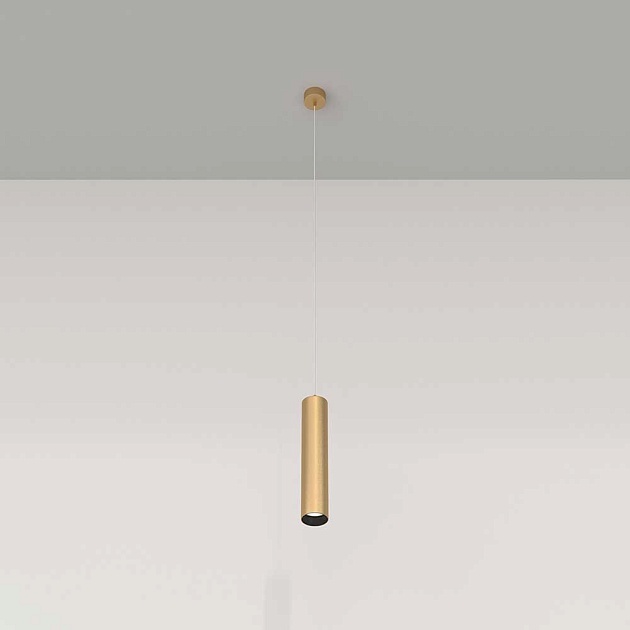 Подвесной светильник Maytoni Technical Focus P075PL-01MG Фото № 2