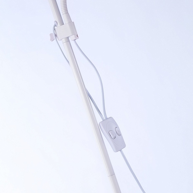 Торшер Ambrella light Traditional TR97622 изображение 4 Торшер Ambrella light Traditional TR97622 Фото № 4