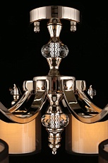 Потолочная люстра Aployt Floret APL.703.17.08 4