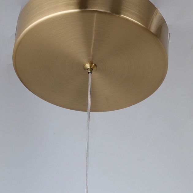 Подвесная светодиодная люстра F-Promo Chantra 4088-5P Фото № 6