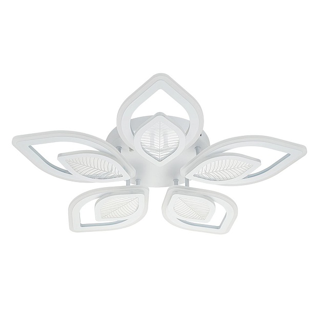 Потолочная светодиодная люстра Escada Anise 10288/10LED Фото № 1