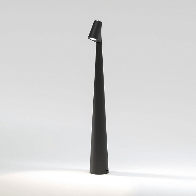 Настольная лампа Elektrostandard Elite TL70250 a068070 Фото № 1