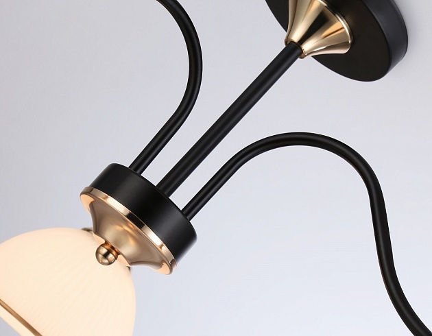 Потолочная люстра Ambrella light Traditional Modern TR3161 изображение 4 Потолочная люстра Ambrella light Traditional Modern TR3161 Фото № 4