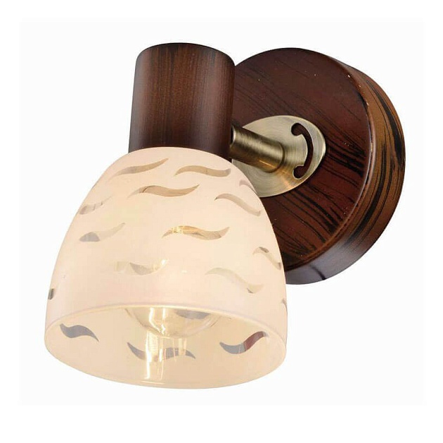 Спот Toplight Shayla TL3730Y-01BB Фото № 1