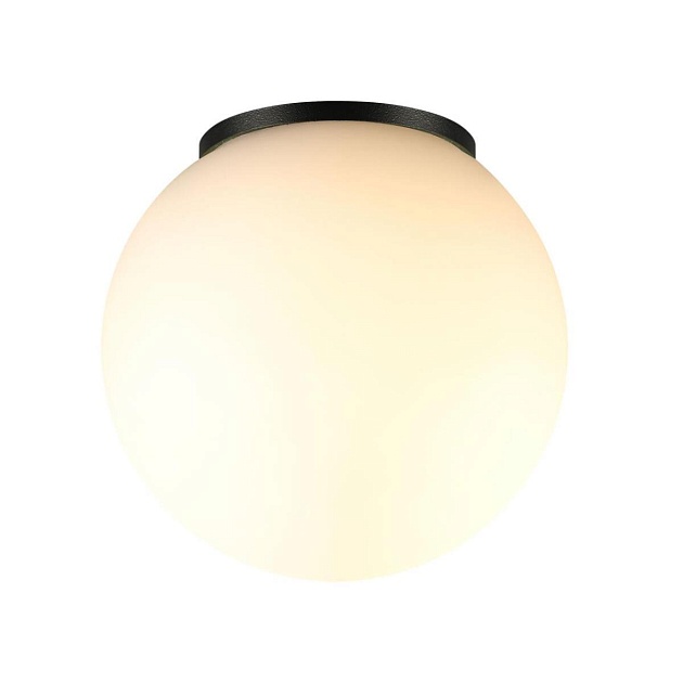 Потолочный светильник Odeon Light NATURE 7124/1C изображение 4 Потолочный светильник Odeon Light NATURE 7124/1C Фото № 4