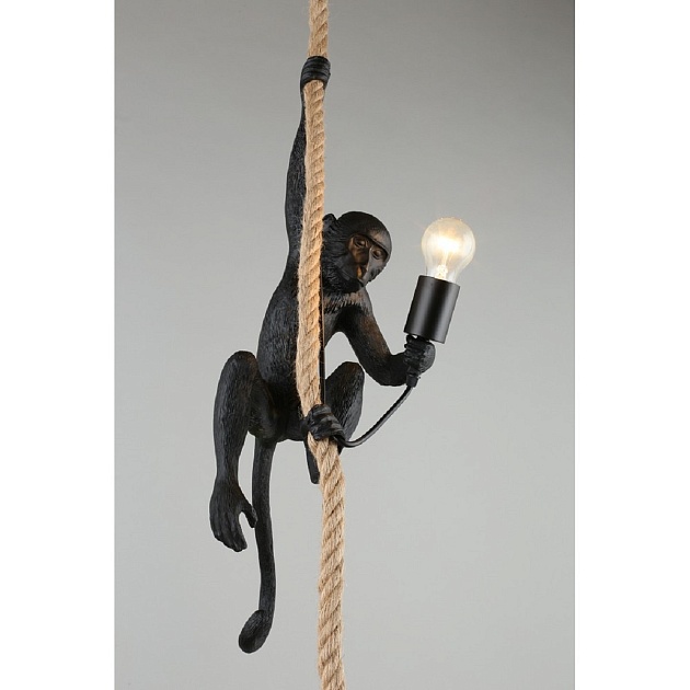 Подвесной светильник Aployt Magali APL.309.16.01 изображение 5 Подвесной светильник Aployt Magali APL.309.16.01 Фото № 5