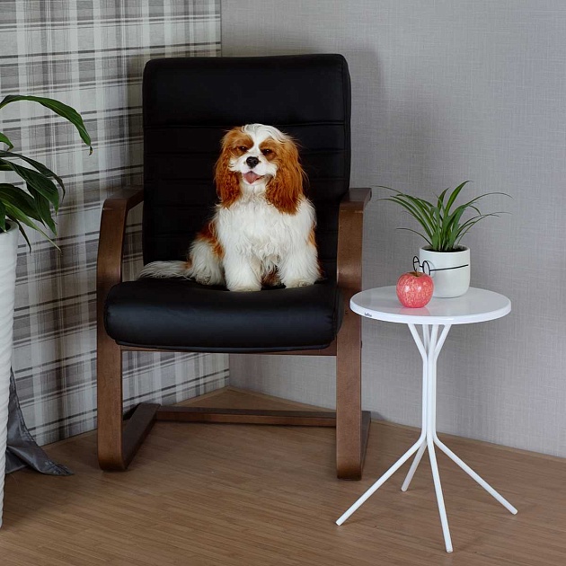 Кофейный стол Мебелик SHT-CT12-1 008131 изображение 6 Кофейный стол Мебелик SHT-CT12-1 008131 Фото № 6