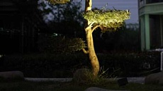 Светильник светодиодный DesignLed FL-2741-8-GR-WW 007622