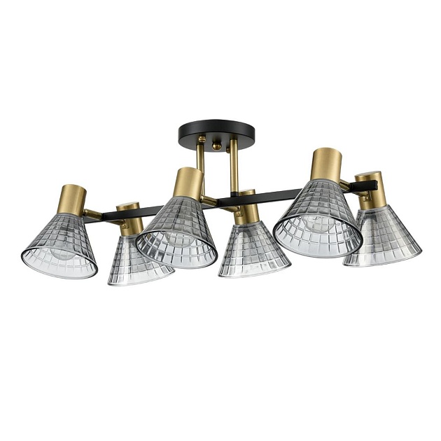 Потолочная люстра Lumion Moderni Anriya 8044/6C Фото № 1