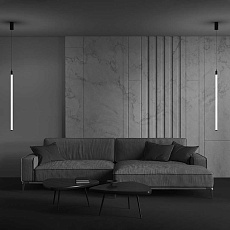 Подвесной светильник Maytoni Ray P022PL-L20B3K 4