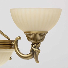 Подвесная люстра MW-Light Афродита 317010708 2