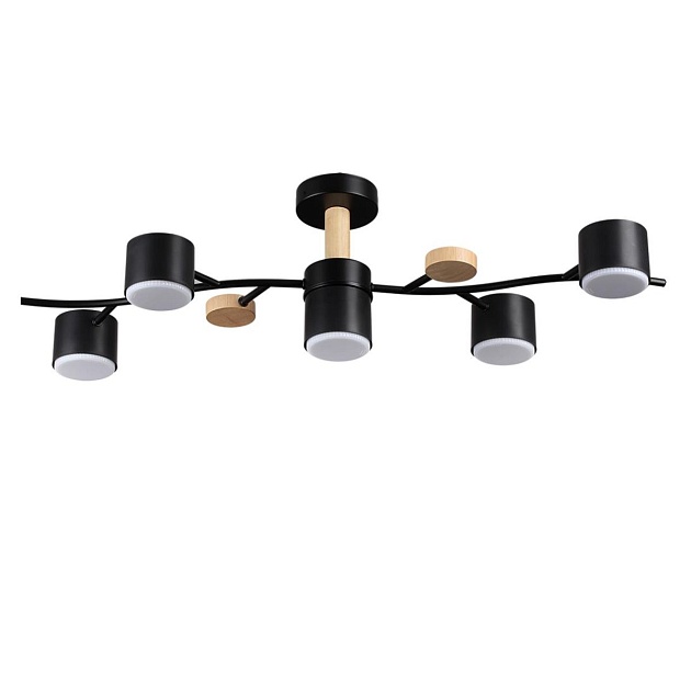 Потолочная люстра Lumion Comfi Crypto 8194/5C Фото № 1