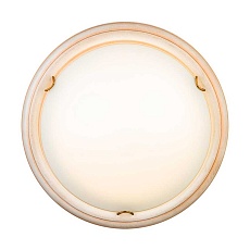 Настенно-потолочный светодиодный светильник Sonex Snok Provence 7605/BL 2