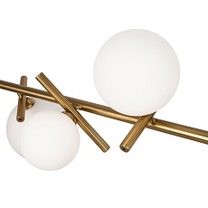 Подвесная люстра Freya Blossom FR5259PL-06BS 2